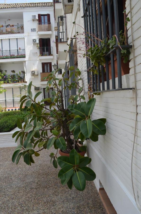 La Casa De Jose Manuel Apartment เซบีญา ภายนอก รูปภาพ